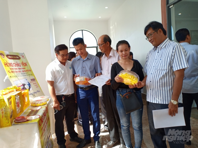 Nuôi chim yến nhà - Nghề đặc thù mang lại giá trị kinh tế cao