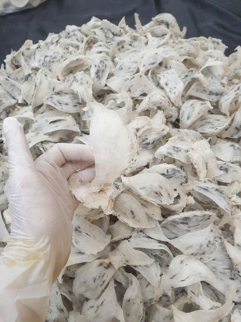 ĐẸP LUNG LINH - RẠNG NGỜI MÀ GIÁ CẢ RẺ RỀ