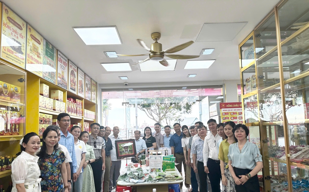 Xúc tiến thương mại, trưng bày, quảng bá sản phẩm