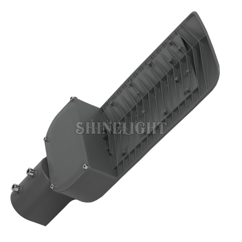 Đèn đường led SLBTP04 250W