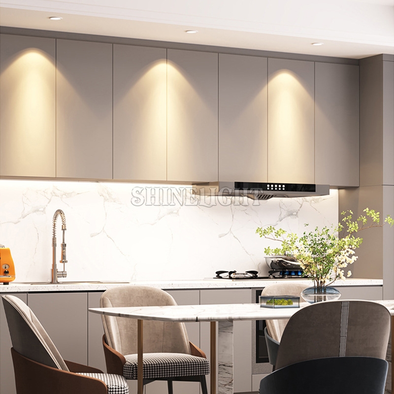 ĐÈN DOWNLIGHT ÂM TRẦN SLCVIP75.