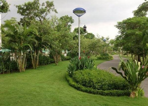 Đèn con mắt DC10-2-EYES