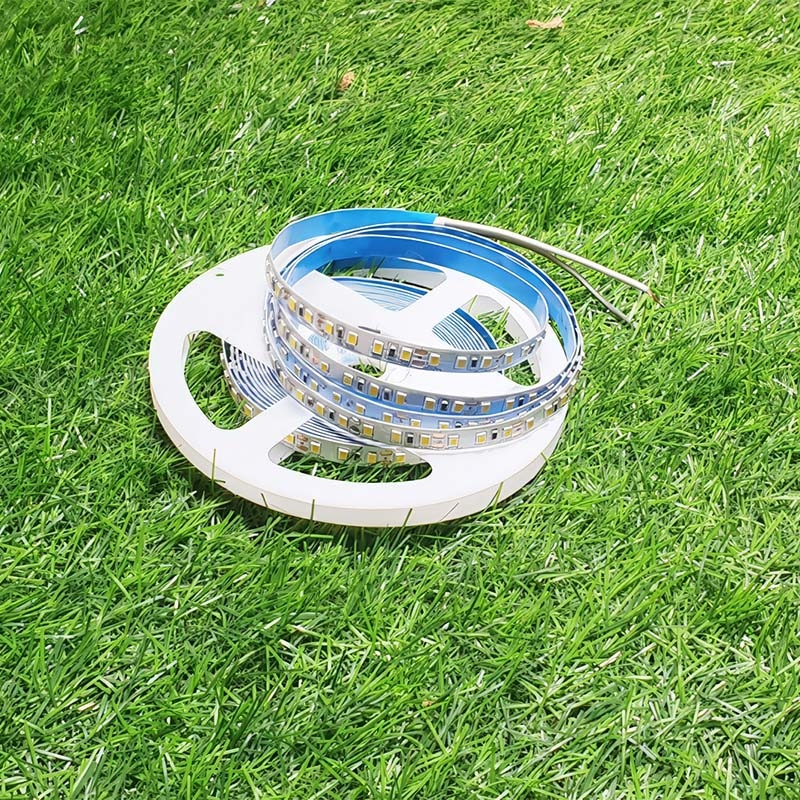 Đèn LED dây 12V SLSW2835-V2