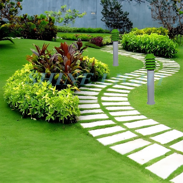Đèn nấm cây thông