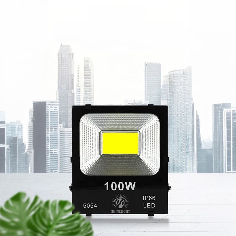 Đèn pha LED SLL 5054