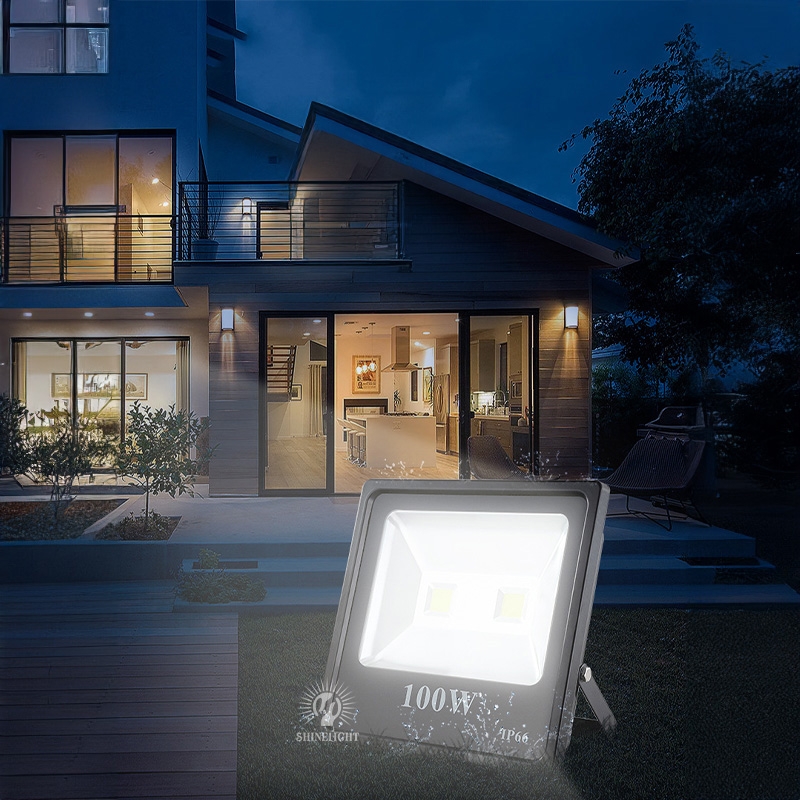 Đèn pha LED SLMS21