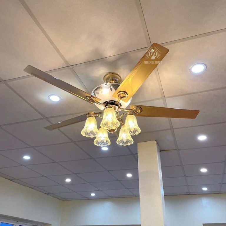Quạt trần đèn SL108