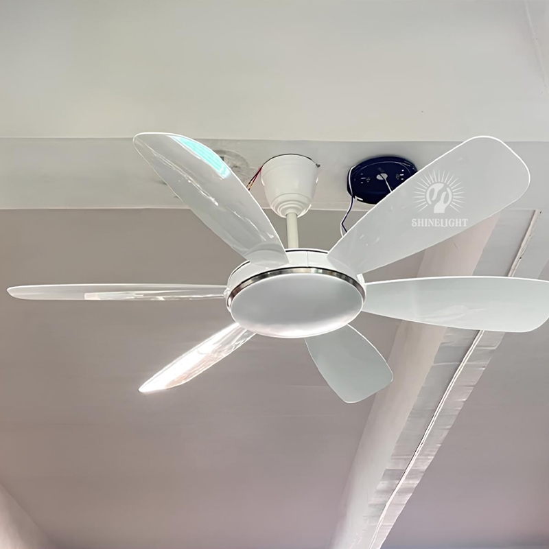 Quạt trần đèn SL213