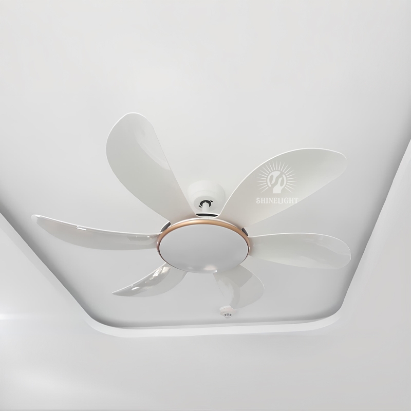 Quạt trần đèn SL218