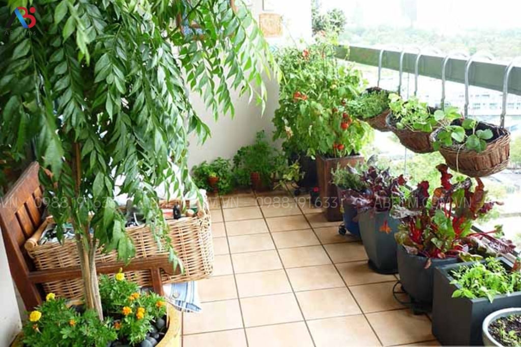 trồng cây xanh tại ban công
