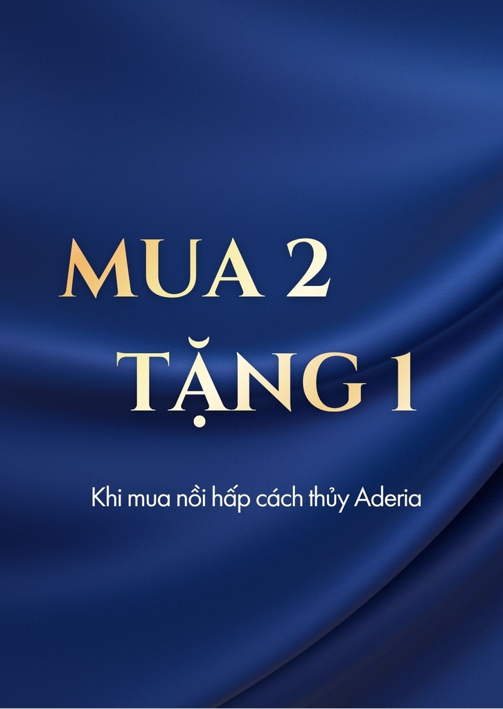 (Mua 2 Tặng 1) Nồi hấp cách thủy nấu vi sóng 500ml Nhật Bản Aderia