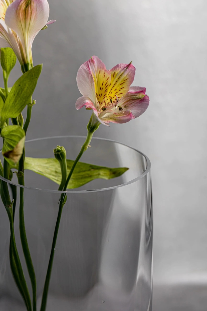 Bình, lọ hoa pha lê ROMANCE 30cm Ba Lan Krosno-788425