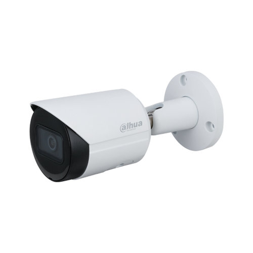 Camera DAHUA DH-IPC-HFW1230DS-SAW (Wifi thân sắt 2MP liền Mic)