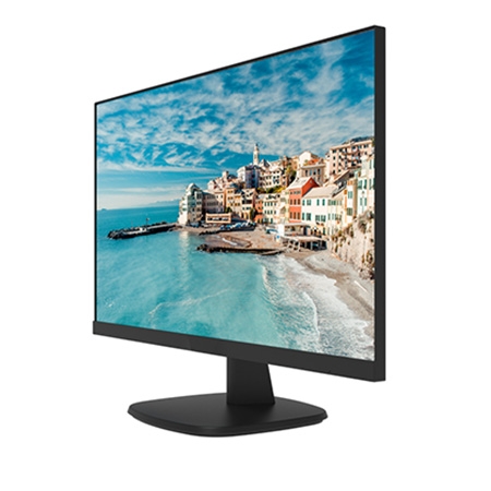 Màn hình máy tính Hikvision DS-D5027F2-1P2 (27 inch/Full HD/100Hz/IPS)