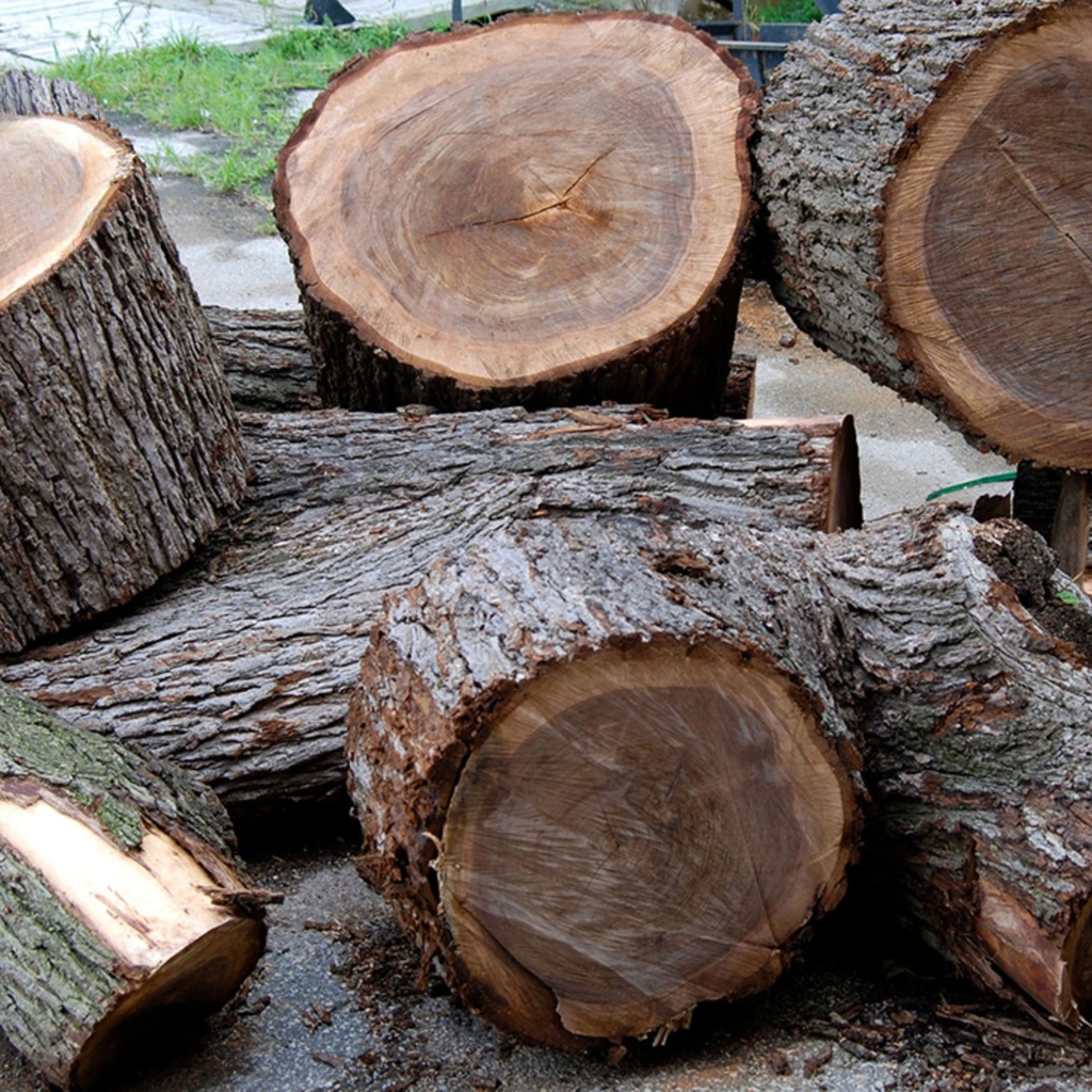 vân gỗ sồi
