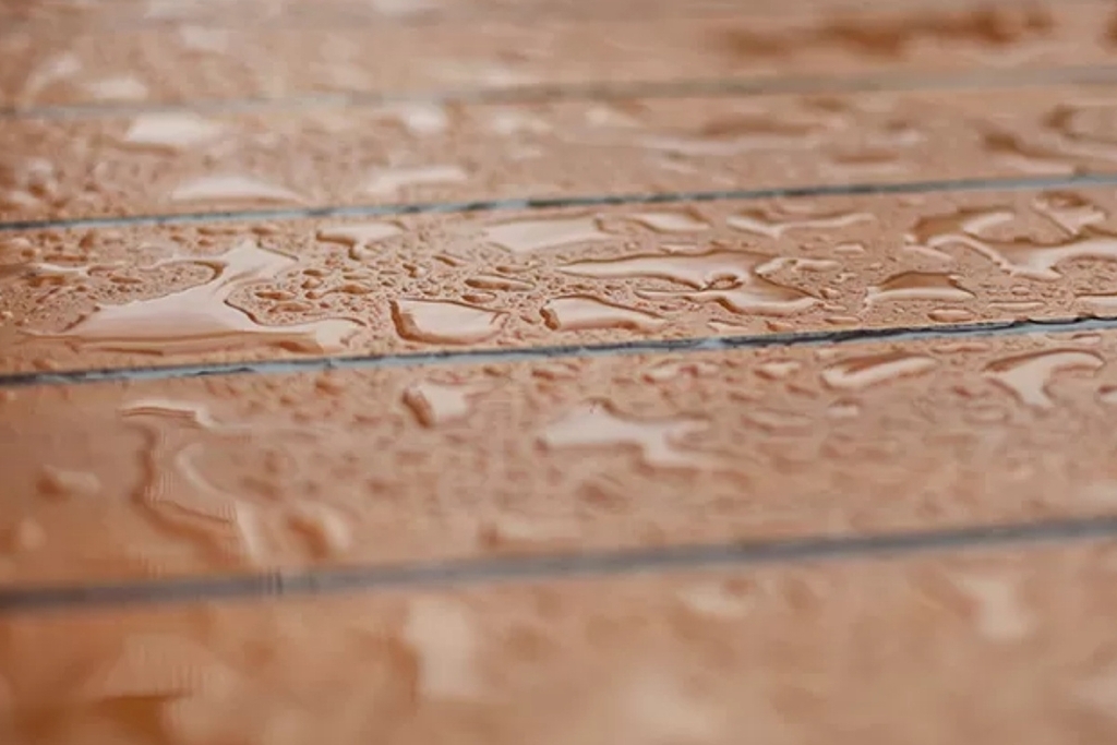 Sự tương thích với khí hậu miền Trung