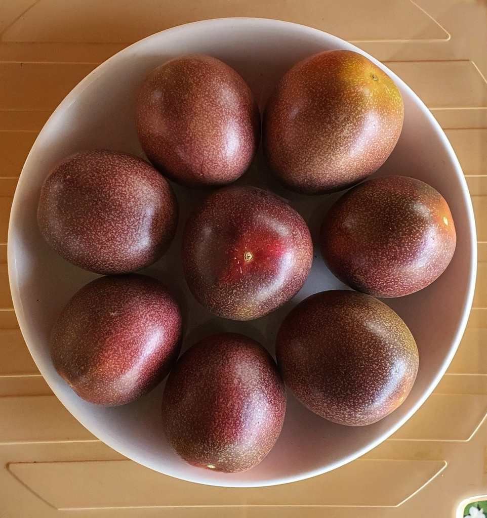 Passion Fruit