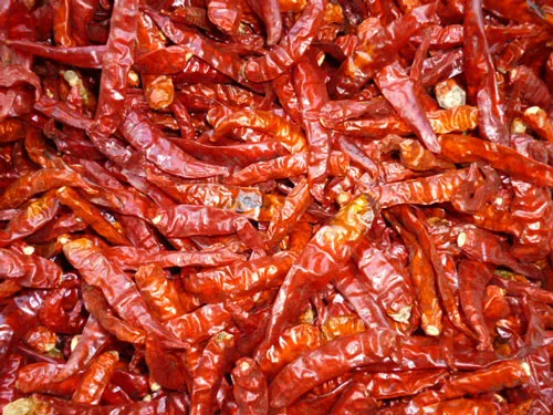 Red Chilli
