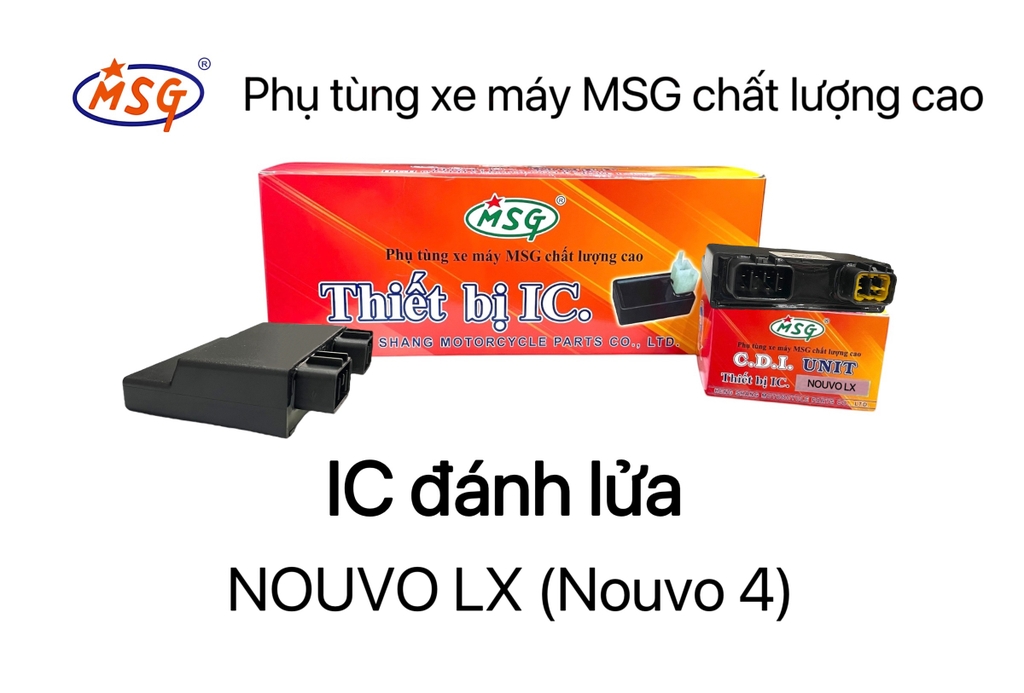 IC ĐÁNH LỬA