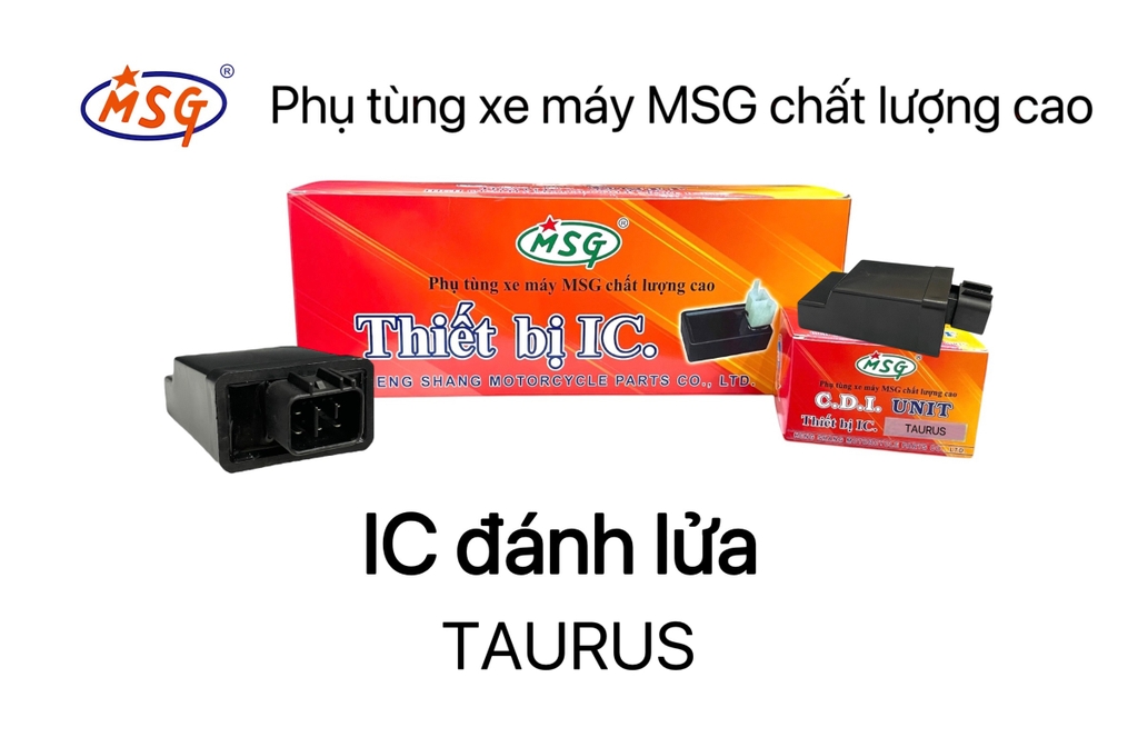 IC ĐÁNH LỬA