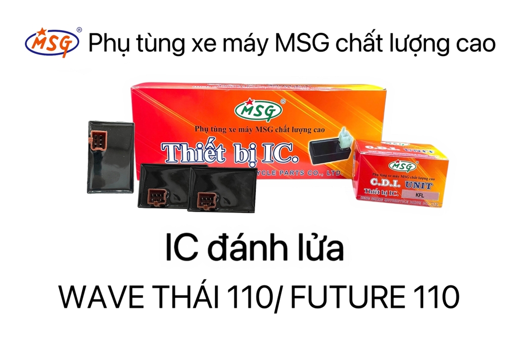 IC ĐÁNH LỬA