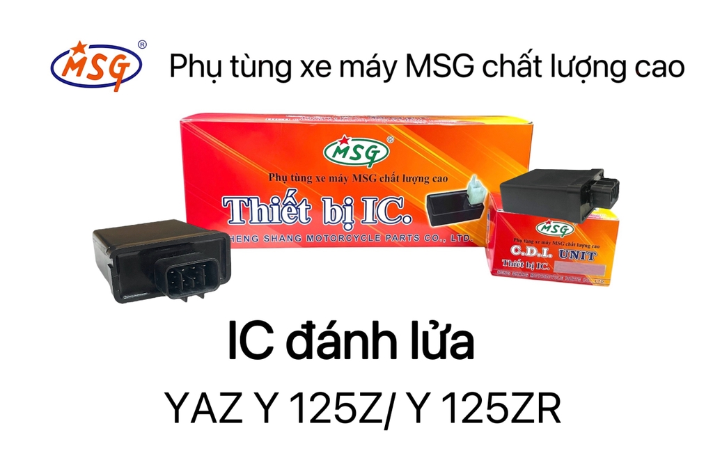 IC ĐÁNH LỬA
