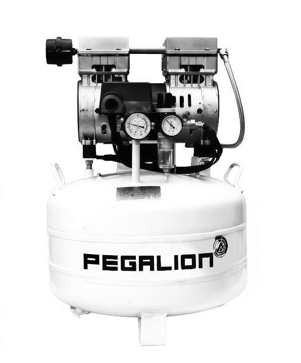Máy Nén Khí Không Dầu Pegalion 0.75HP 40L TM-OF550-40L
