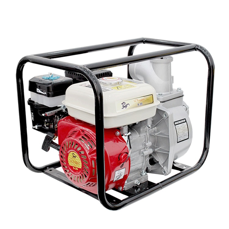 Máy Bơm Nước Chạy Xăng Dragon 6.5HP D30