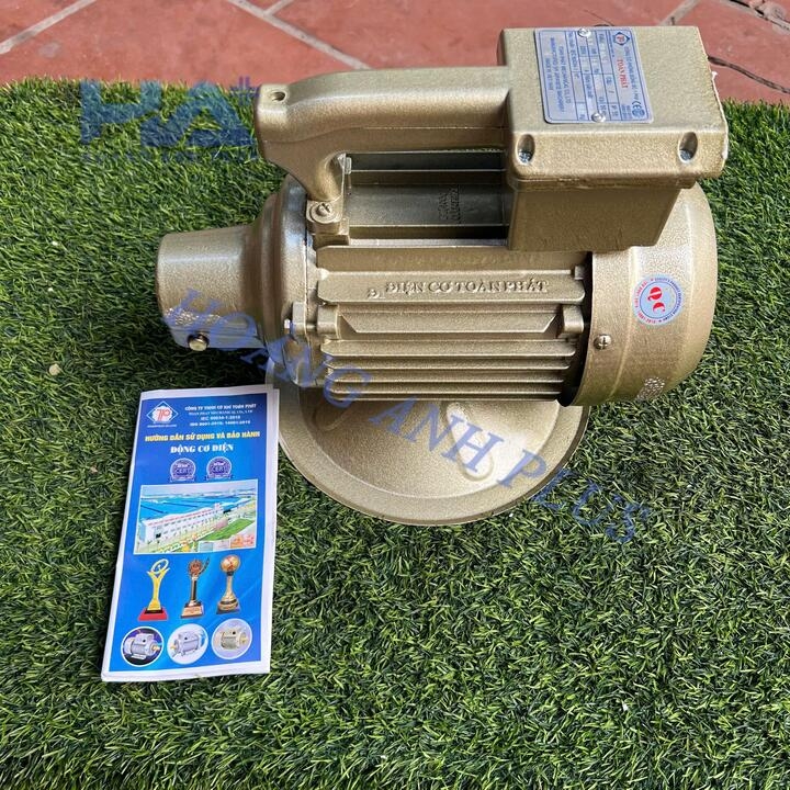 Máy Đầm Dùi Điện Toàn Phát 1.1Kw/220V