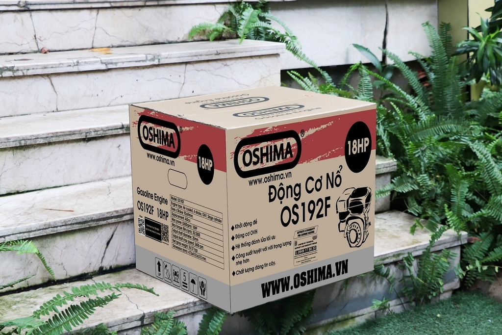 Máy Nổ - Động Cơ Xăng Oshima 18HP OS192F Có Đề