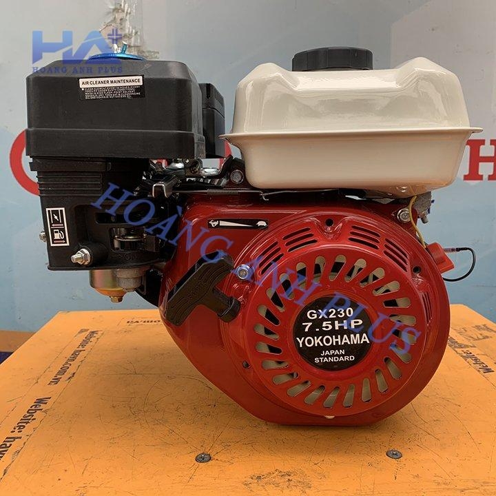 Máy Nổ – Động Cơ Xăng Yokohama 7.5HP GX230-Zen Cá