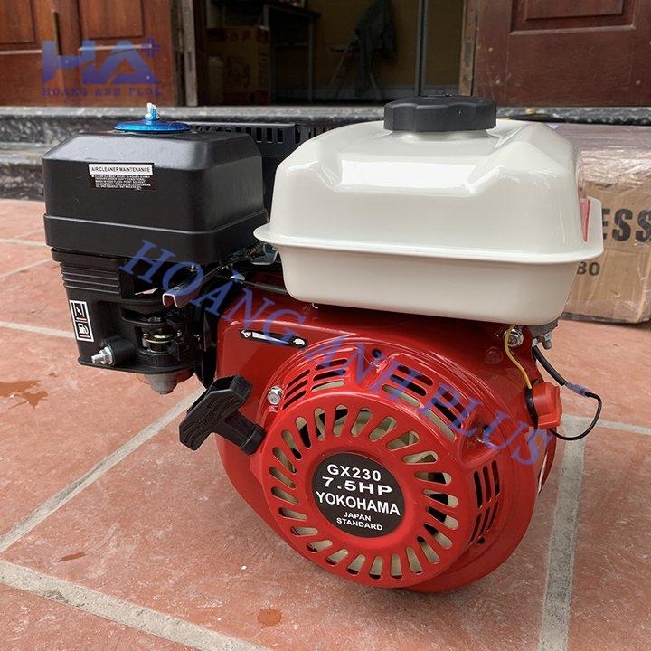Máy Nổ – Động Cơ Xăng Yokohama 7.5HP GX230-Zen Cá