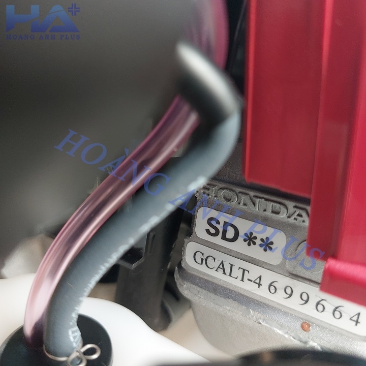 Máy Cắt Cỏ Honda 4 Thì 1.1HP/0.81KW GX25T SD (TROPIC)