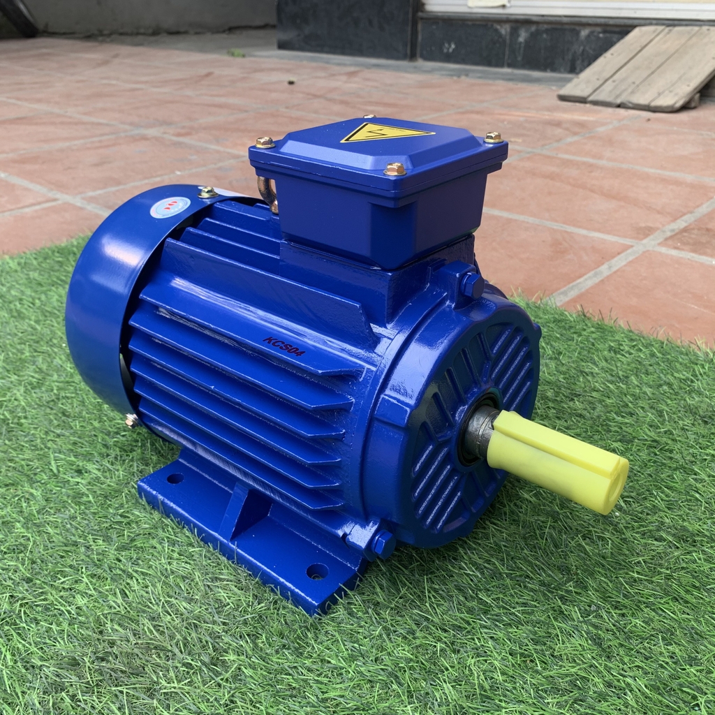 Động Cơ Điện Toàn Phát 3Kw 1500 Vòng/Phút 3 Pha TP100L2-4