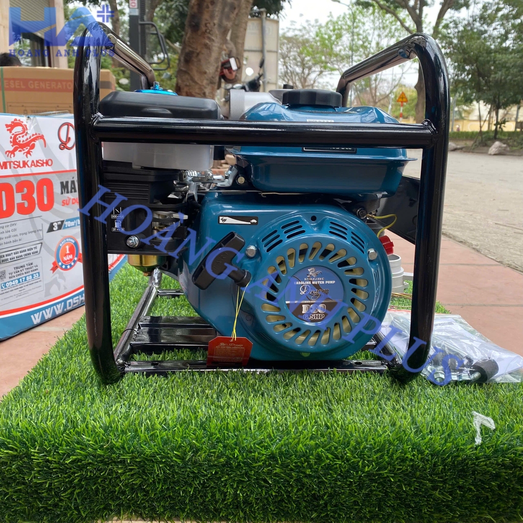 Máy Bơm Nước Chạy Xăng Dragon 6.5HP D30