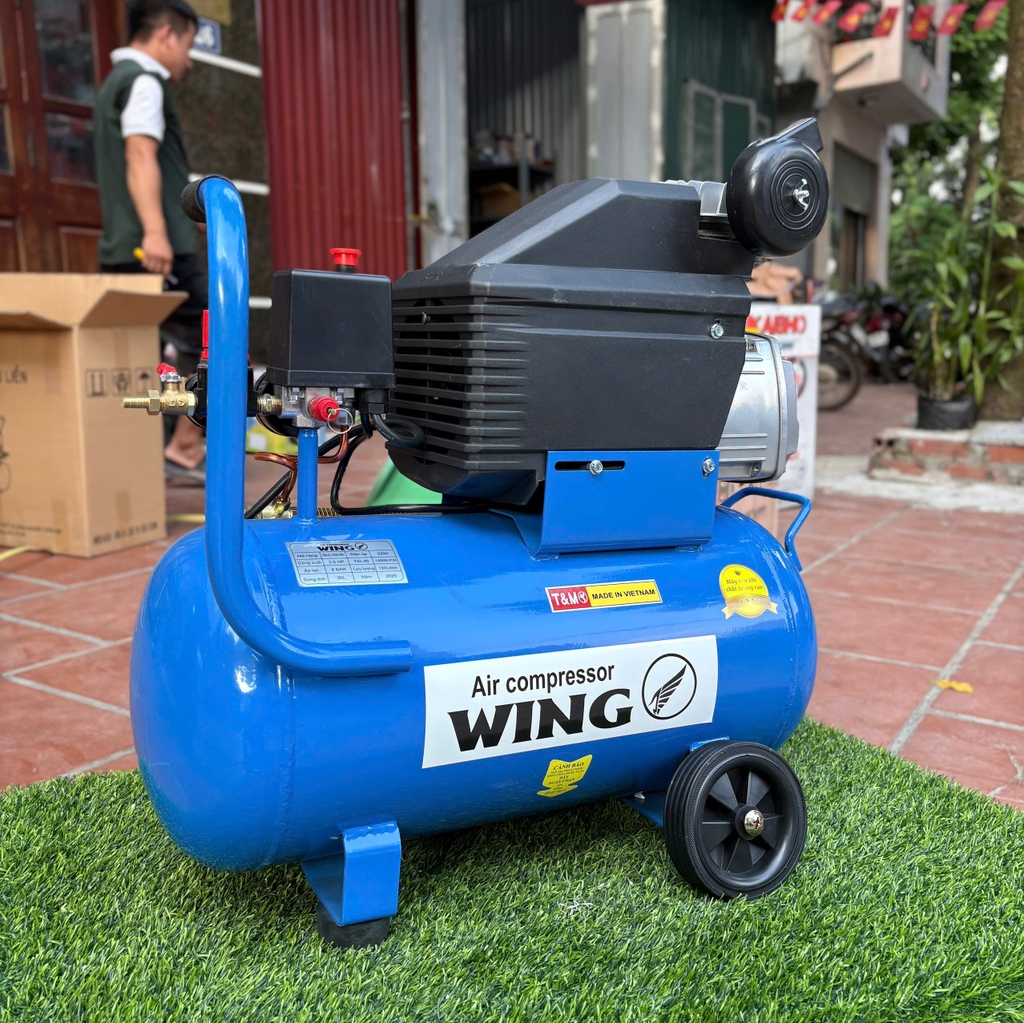 Máy Nén Khí Có Dầu TM-0.12/8-30L WING 2.5HP