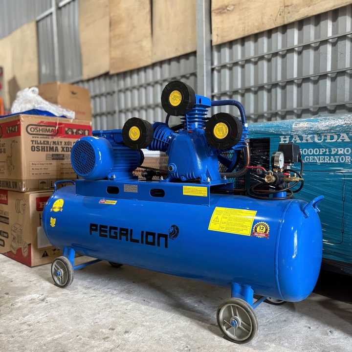 Máy Nén Khí Dây Đai Pegalion 4HP 230L TM-W-0.36/8-230L