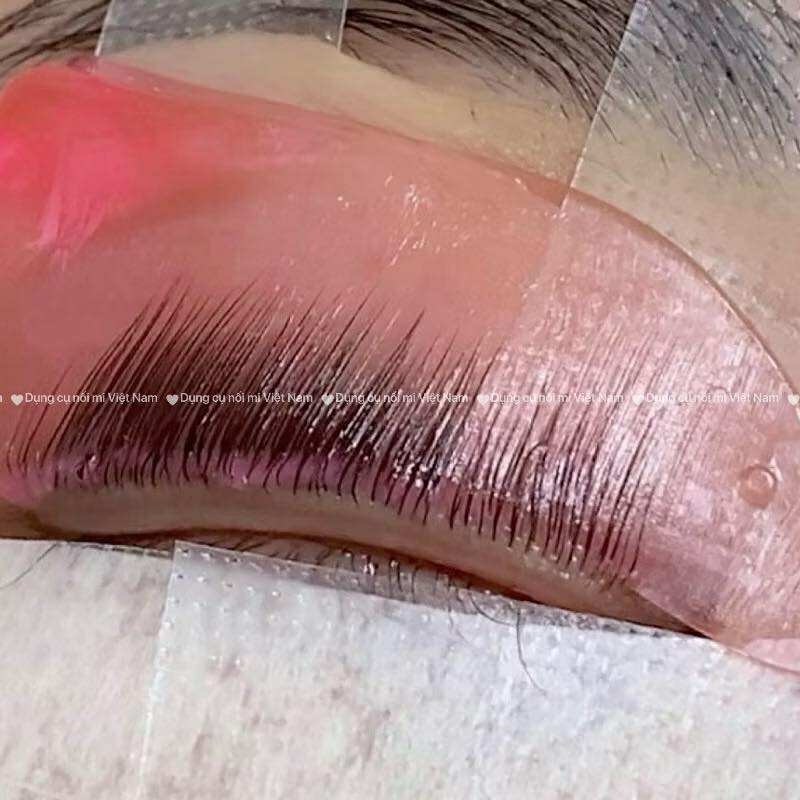 Trục cá heo, nâng mi siêu mềm, dính hình cá heo Dolphin Lash Lift Pads