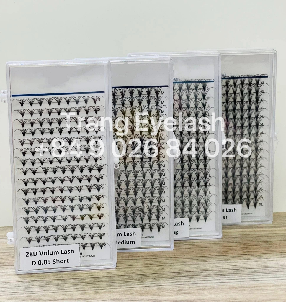 Mi Chùm Cluster Vlash, Wispy, Volume 24D 30D 40D - Hot Trend 2026