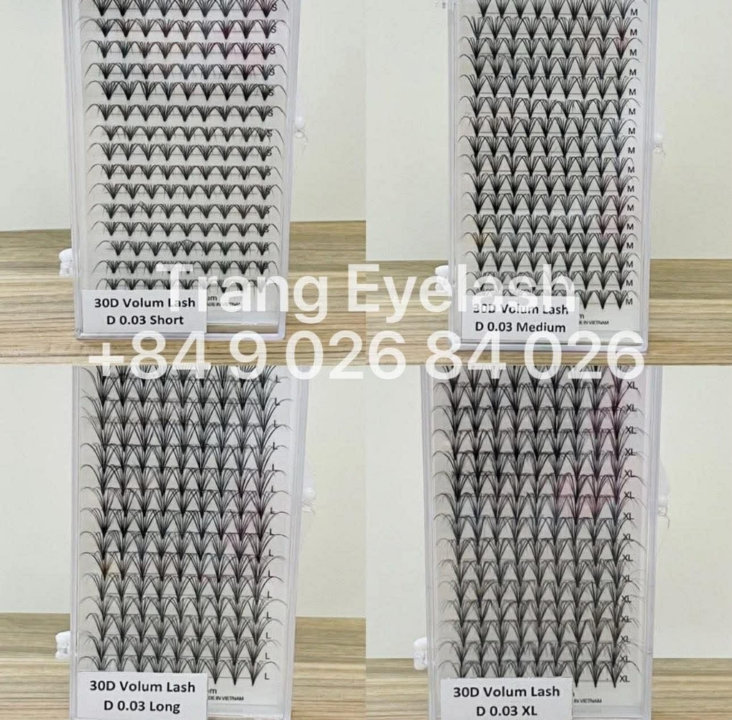 Mi Chùm Cluster Vlash, Wispy, Volume 24D 30D 40D - Hot Trend 2026