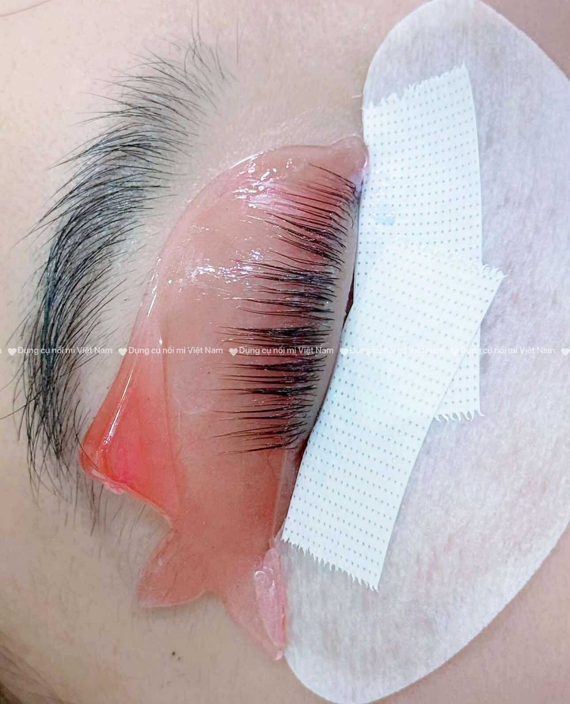 Trục cá heo, nâng mi siêu mềm, dính hình cá heo Dolphin Lash Lift Pads