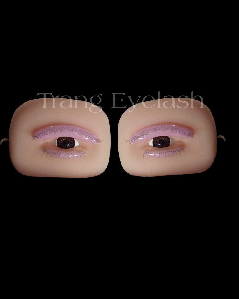 Mắt tập nối siêu thực, trưng bày mẫu mi cho khách