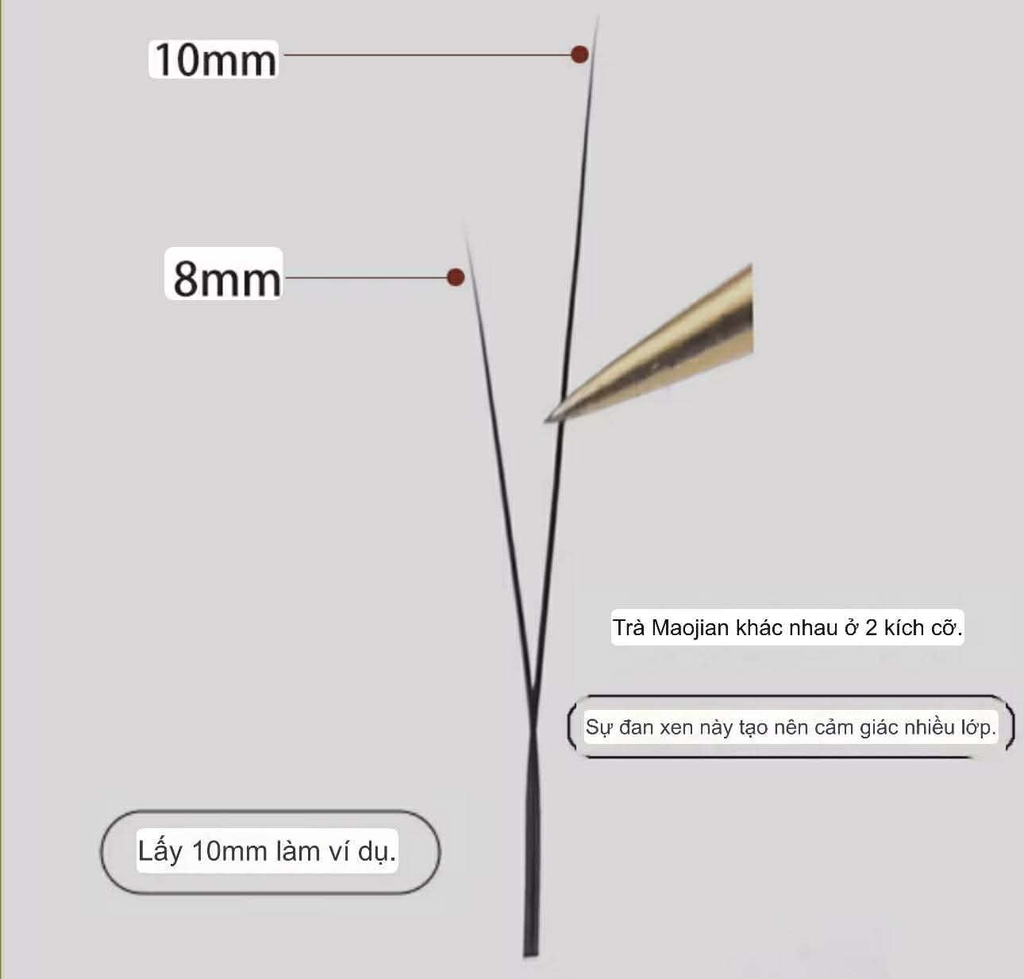 Mi Hoa Nhỏ Sole 2D sole 1 chiều, sole fish eyes 2 chiều trái phải