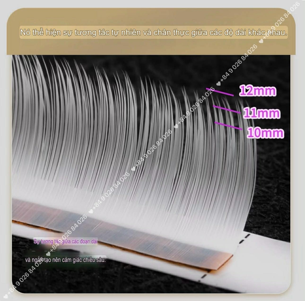 Màu Trắng Lông Mi Camellia Douyin Trung Hoa, mi Manhua, Balayage,Mi Trung Hoa Bạch Tuyết (màu trắng)