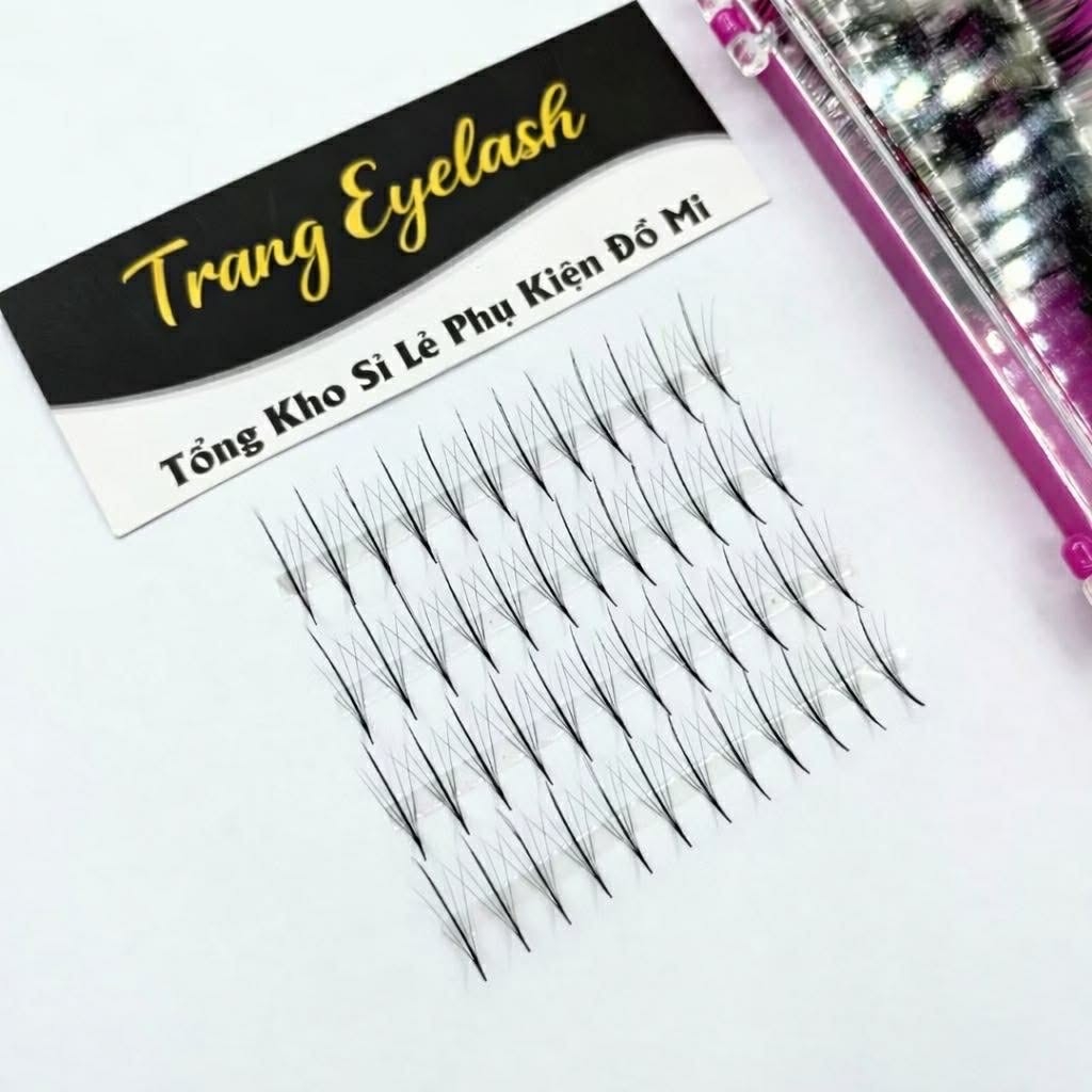 Mi Fan Dây Wiispy Sẵn 5D 7D 9D – Hiệu Ứng Wispy Tự Nhiên, Dễ Thao Tác