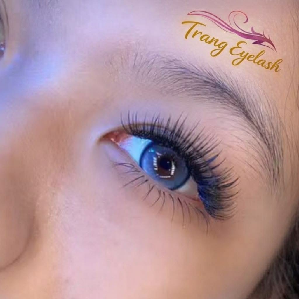 Mi Fan Dây Wiispy Sẵn 5D 7D 9D – Hiệu Ứng Wispy Tự Nhiên, Dễ Thao Tác