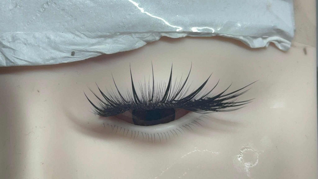 Mi Hoa Nhỏ - Fox Y type eyelash - Mi fisheyes