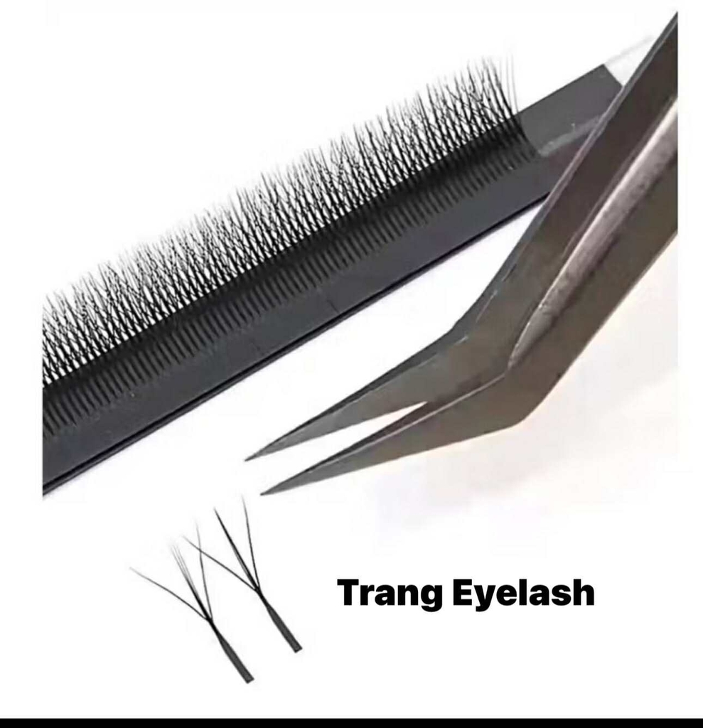Mi Hoa Nhỏ - Fox Y type eyelash - Mi fisheyes