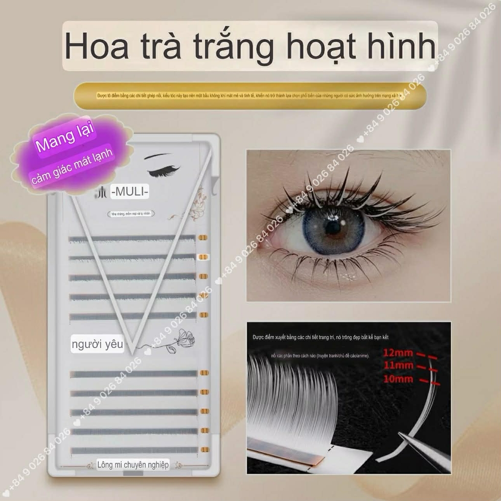 Màu Trắng Lông Mi Camellia Douyin Trung Hoa, mi Manhua, Balayage,Mi Trung Hoa Bạch Tuyết (màu trắng)
