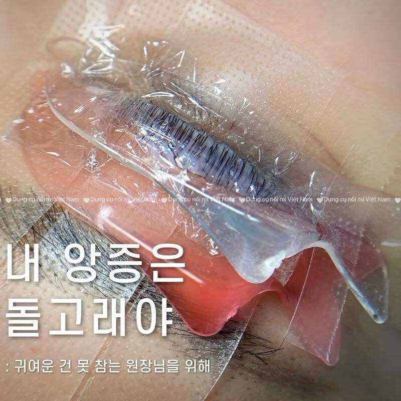 Trục cá heo, nâng mi siêu mềm, dính hình cá heo Dolphin Lash Lift Pads